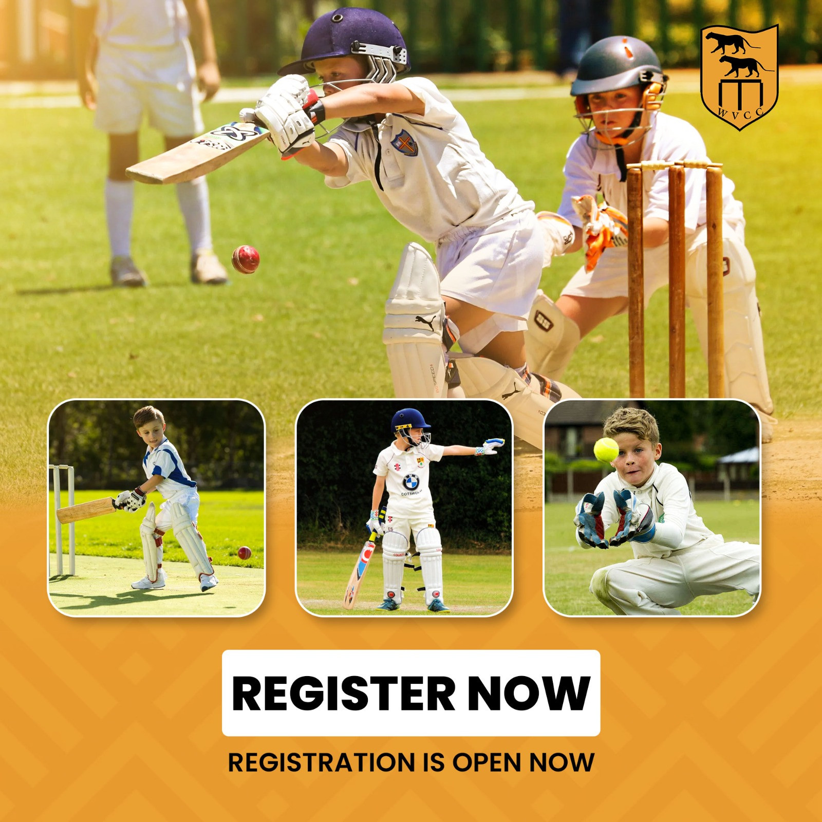 Junior Cricket - Register now